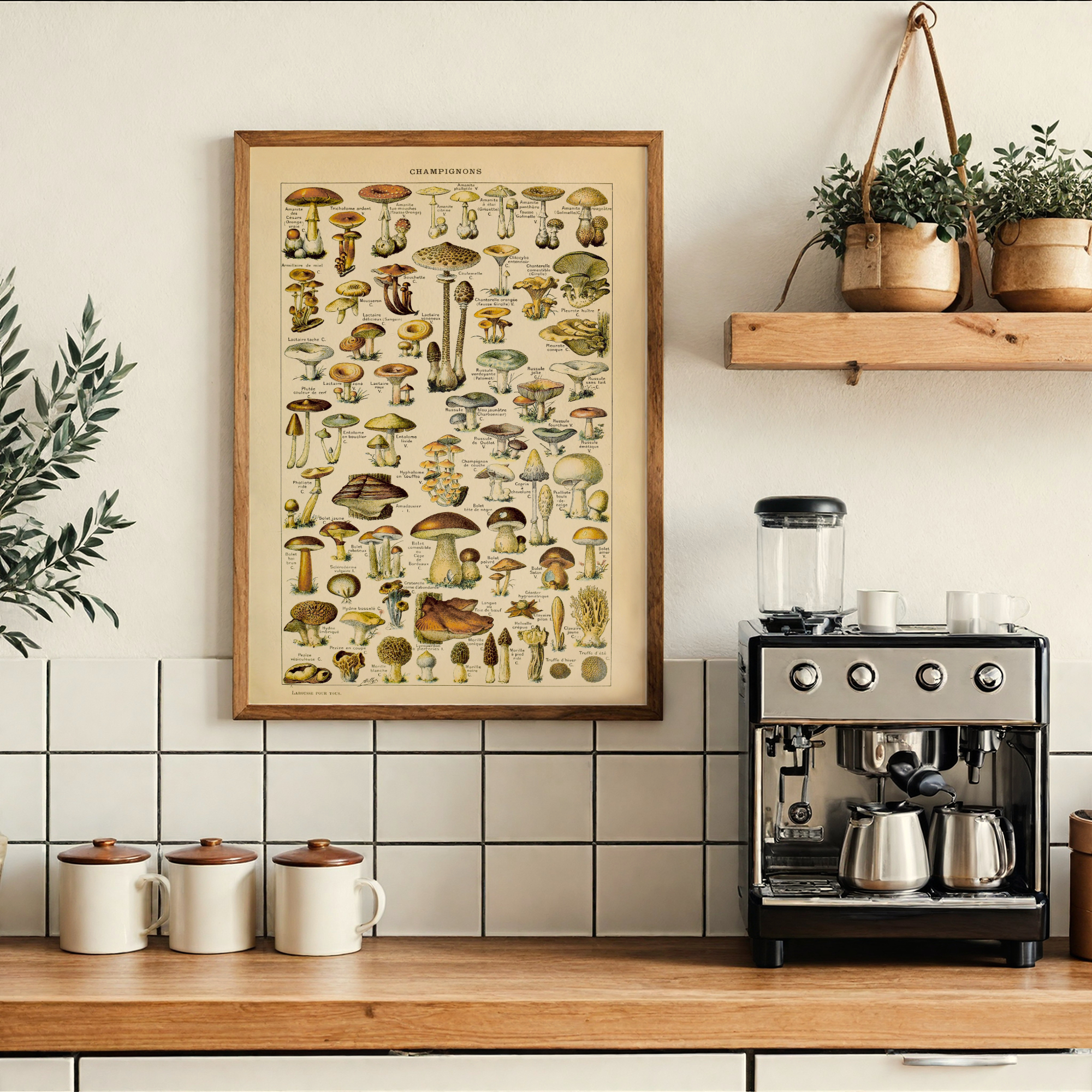 Follygraph poster, chart, infographic, kitchen print, yoga poster, stock market technical analysis, coffee guide, yoga asanas