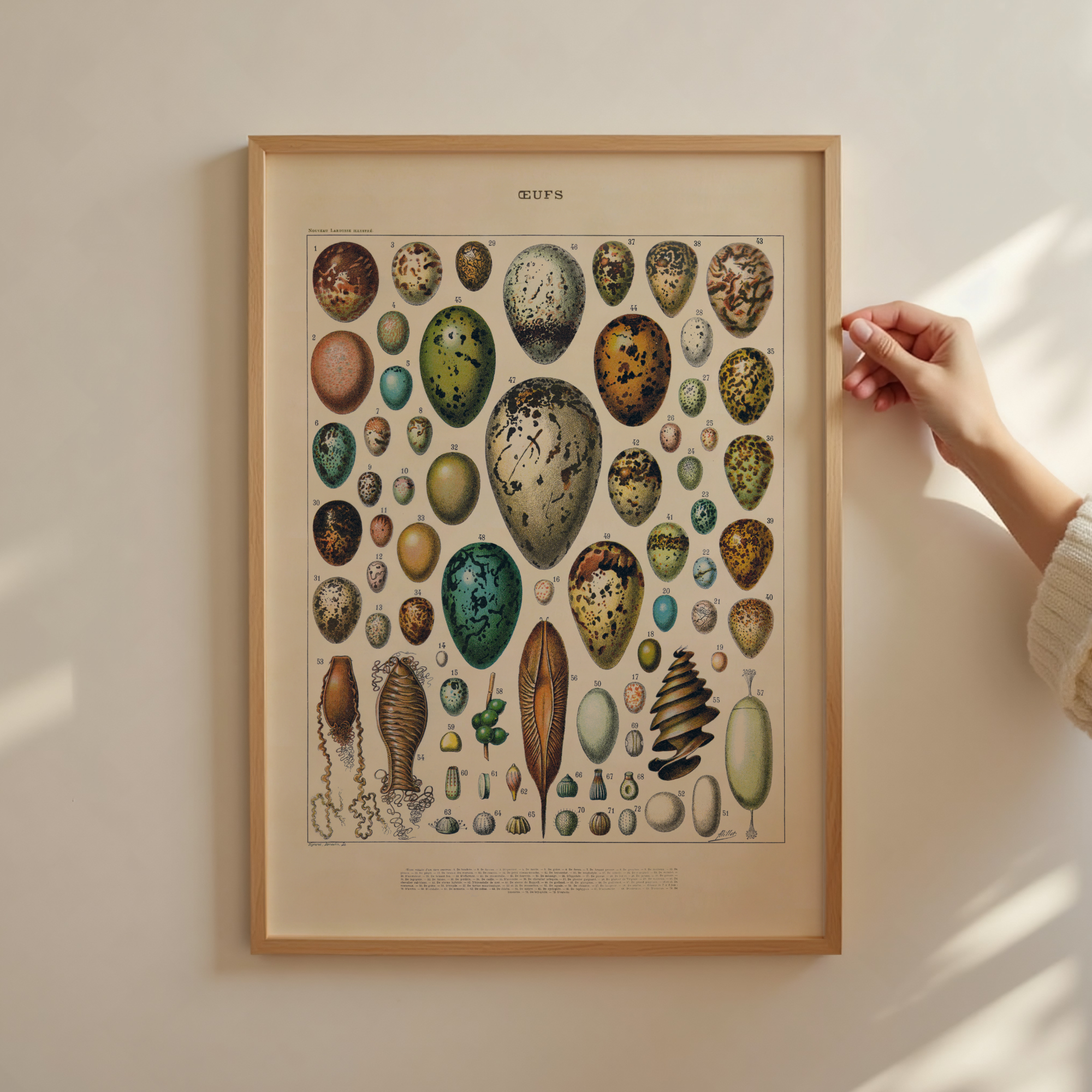 Follygraph poster, chart, infographic, kitchen print, yoga poster, stock market technical analysis, coffee guide, yoga asanas