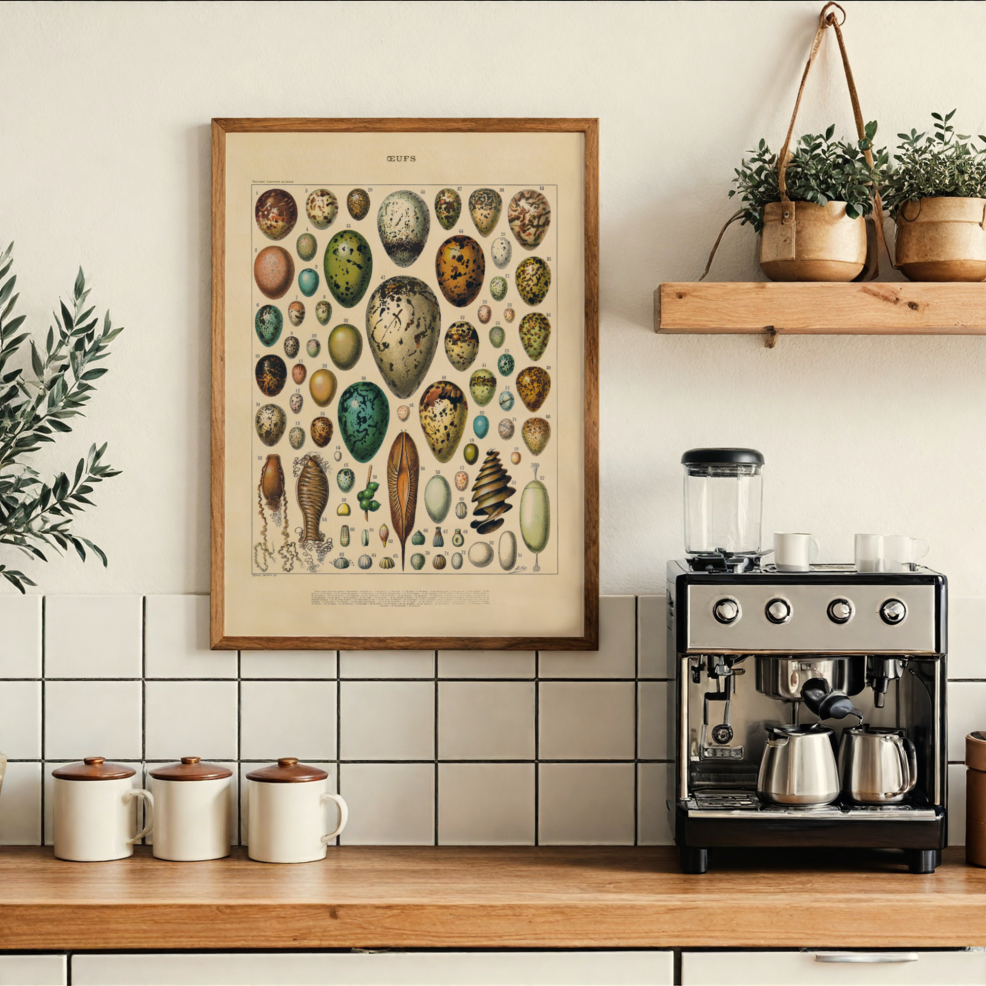 Follygraph poster, chart, infographic, kitchen print, yoga poster, stock market technical analysis, coffee guide, yoga asanas