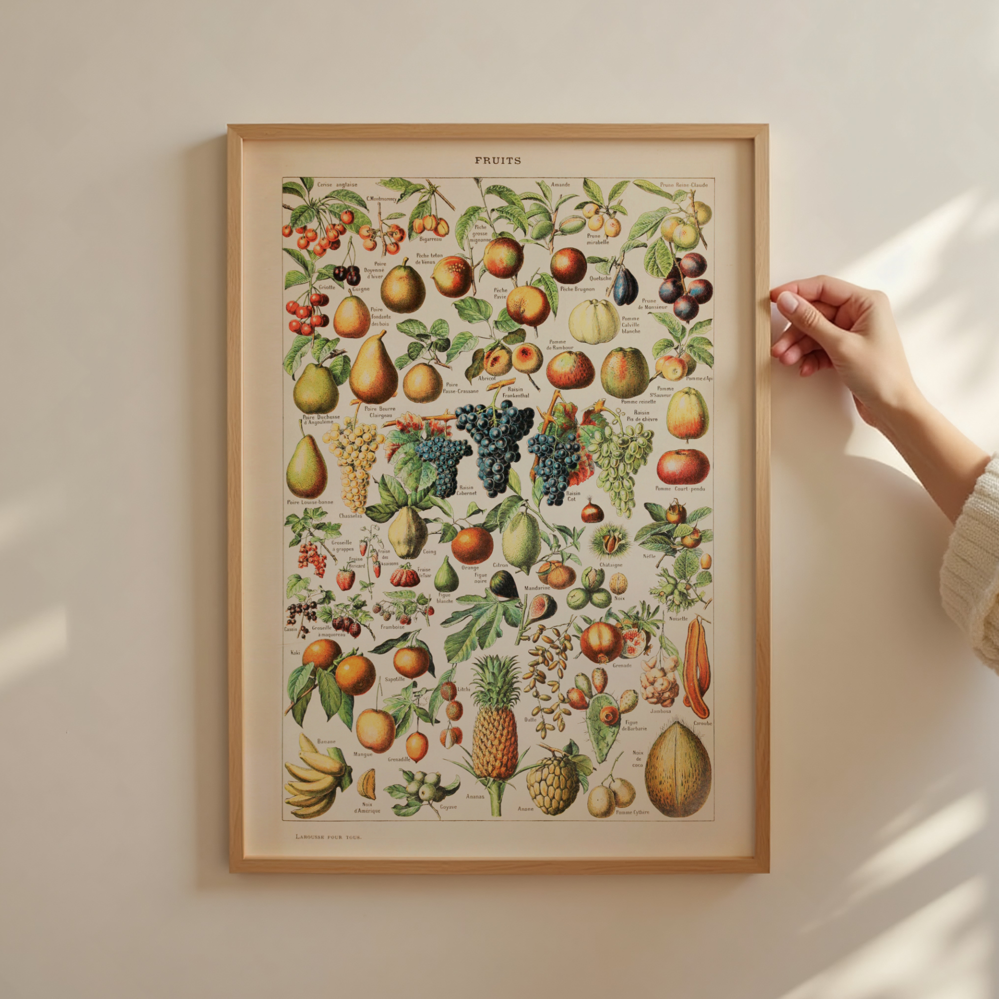 Follygraph poster, chart, infographic, kitchen print, yoga poster, stock market technical analysis, coffee guide, yoga asanas