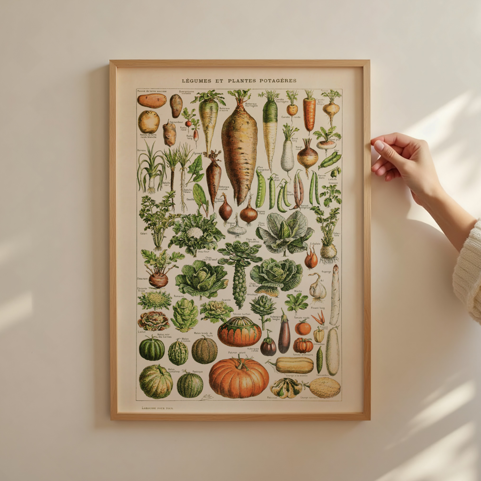 Follygraph poster, chart, infographic, kitchen print, yoga poster, stock market technical analysis, coffee guide, yoga asanas