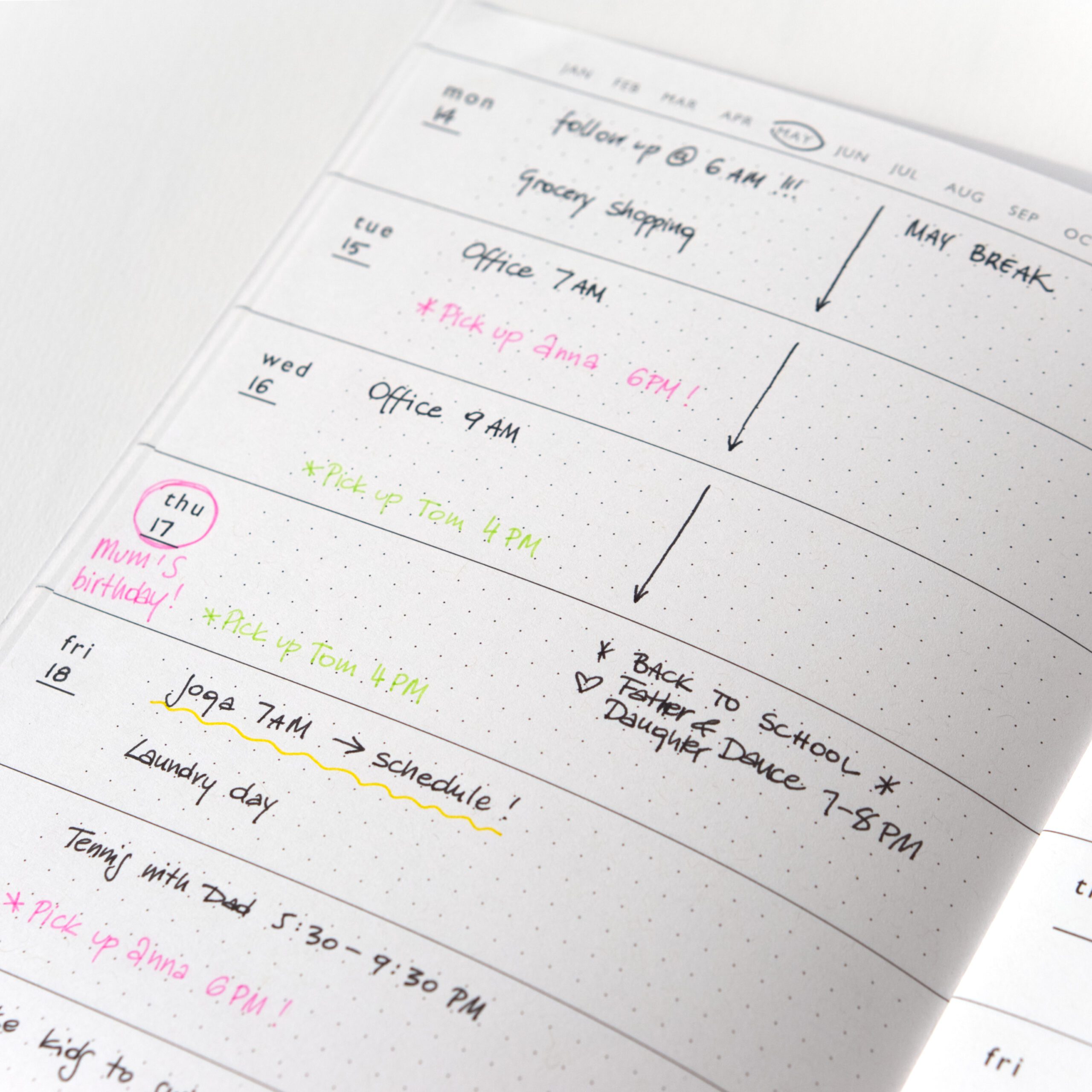 Follygraph weekly planner undated sage green