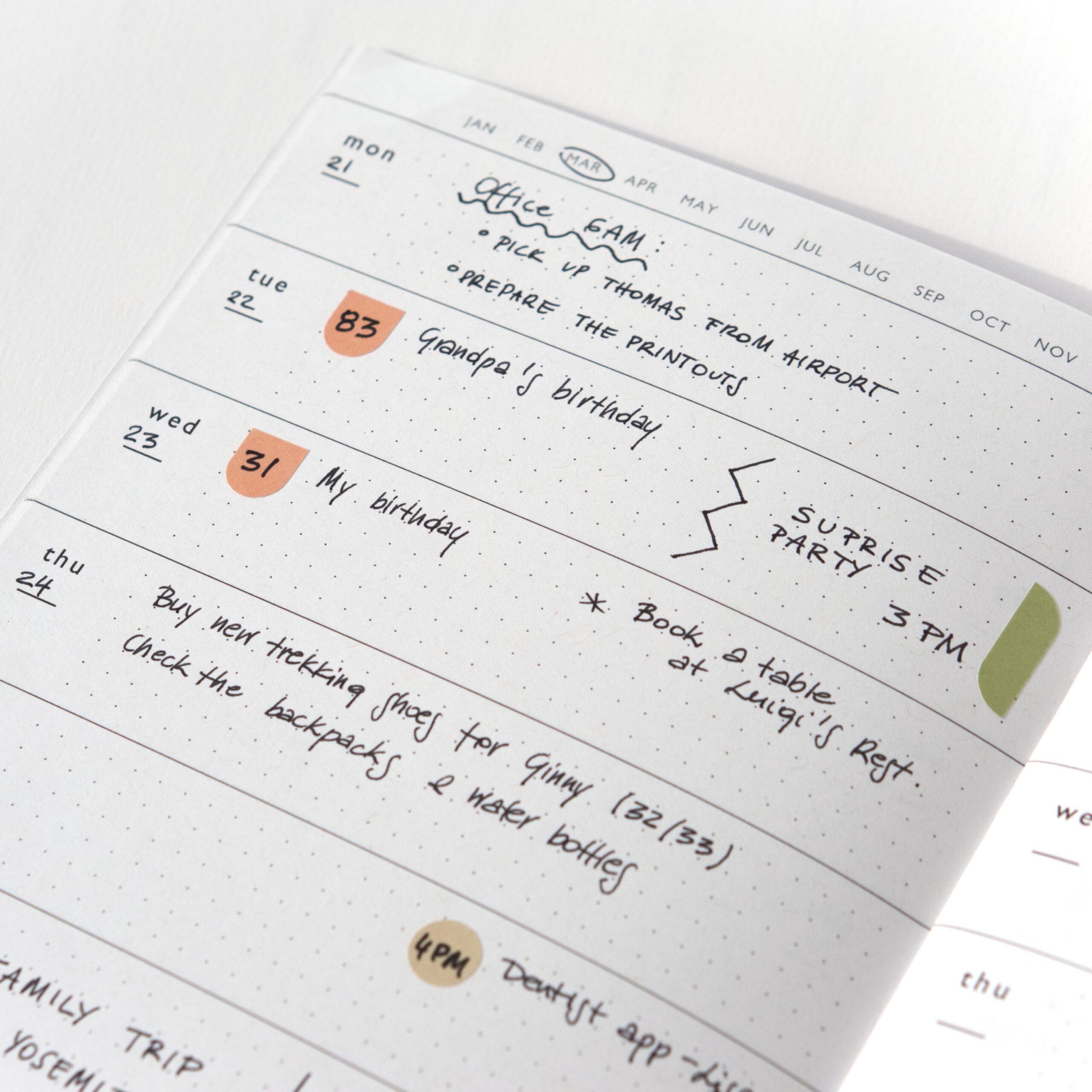 Follygraph weekly planner undated sage green