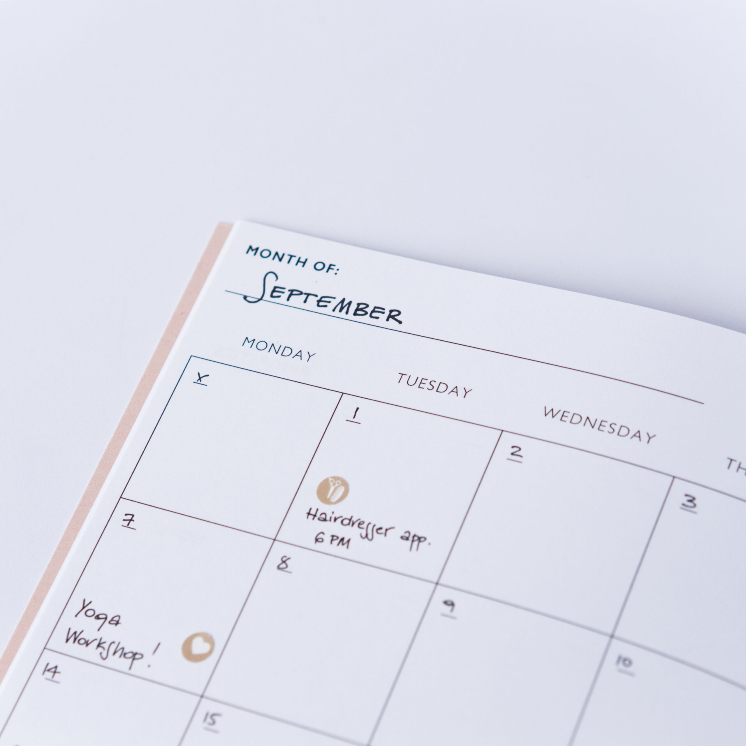 Monthly planner undated a5 follygraph